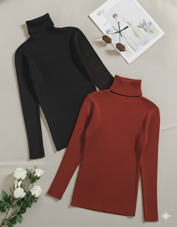 Pack of two ribbed turtleneck (black - rust)