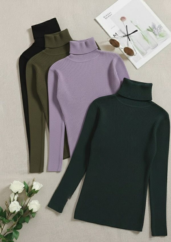 Pack of two ribbed turtlenecks