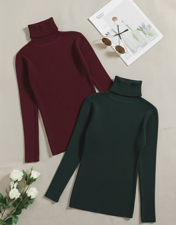 Pack of two ribbed turtleneck (maroon - green)
