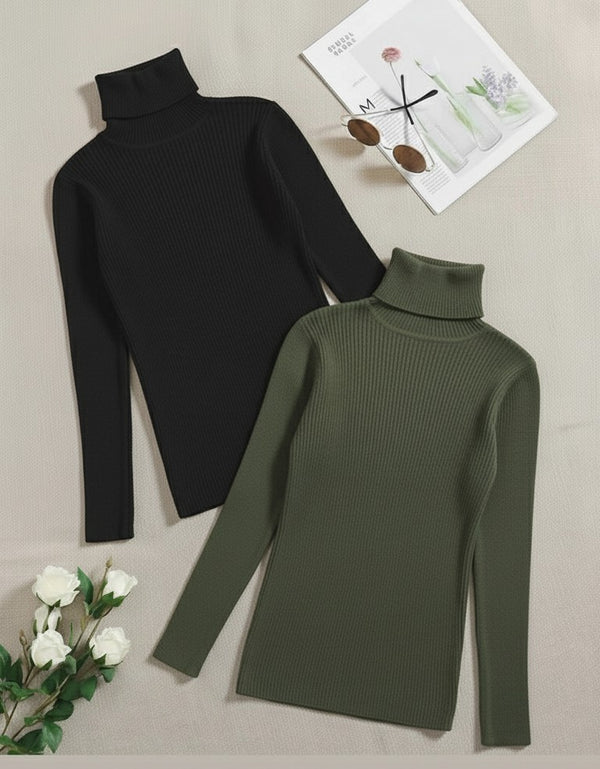 Pack of two ribbed turtleneck (black - olive green)