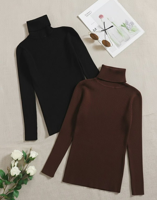 Pack of two ribbed turtleneck (black - brown)